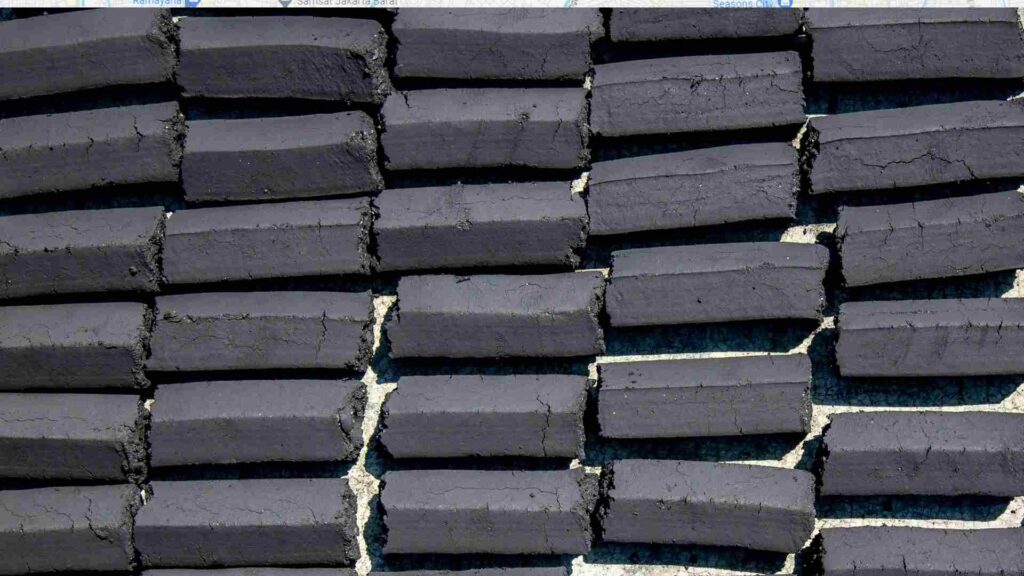 Why Indonesian Coconut Shell Charcoal Briquettes are the Top Choice for BBQ Enthusiasts Worldwide